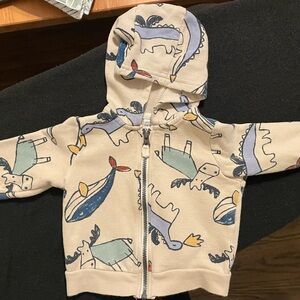 Kids Dinosaur Print Sweatsuit (2-piece)